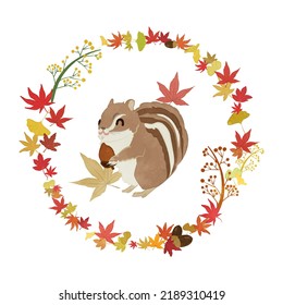 Cute squirrel surrounded by autumn frame