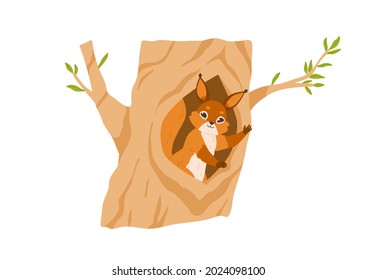 Cute squirrel in tree hole, waving with paw, gesturing hi. Happy animal inside hollow in trunk. Small adorable rodent in forest home. Flat vector illustration isolated on white background