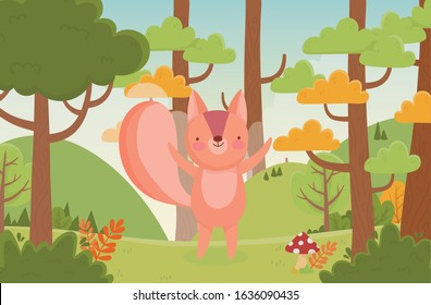 cute squirrel trees foliage forest nature landscape vector illustration