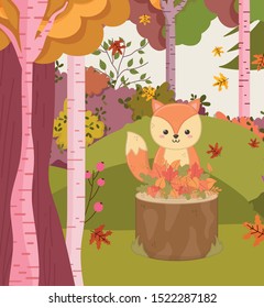 cute squirrel in the trunk with leaves forest trees foliage hello autumn vector illustration
