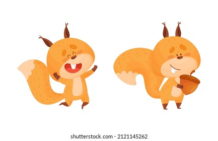 Cute squirrel various activities set. Lovely forest animal character vector illustration