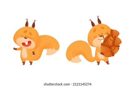 Cute squirrel various activities set. Lovely cheerful forest animal character carrying pile of acorns vector illustration