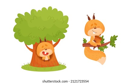 La ardilla fina ofrece diferentes actividades. Carácter de animal forestal encantador sentado en una ilustración vectorial de árbol hueco y rama de árbol