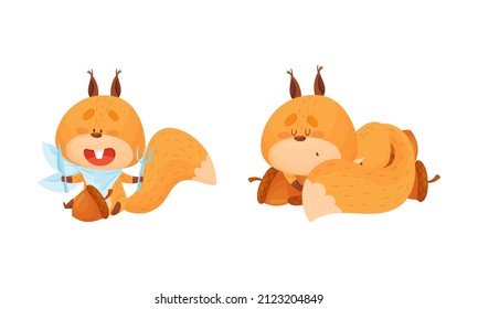 Cute squirrel various activities set. Lovely forest animal character eating with fork and knife and sleeping vector illustration