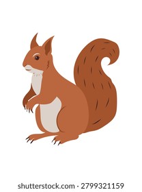 Cute squirrel vector illustration, flat isolated cartoon woodland animal character sitting, red forest squirrel with fluffy tail for children nursery design, print or storybook clipart