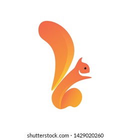Cute squirrel vector illustration. Squirrel logo template.