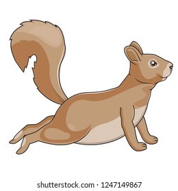 Cute squirrel vector illustration with white background,Can be used for printing t-shirts, children's books, stickers etc.