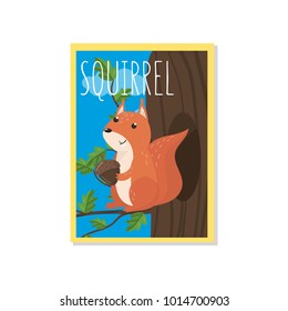 Cute squirrel vector illustration with woodland animal, design element for banner, flyer, placard, greeting card, cartoon style