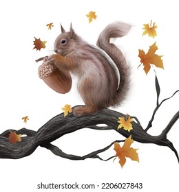 Cute Squirrel Vector Take Acorn Maple Leaf Rain Isolated White Background