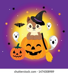 Cute squirrel in a witch hat in a Halloween pumpkin.