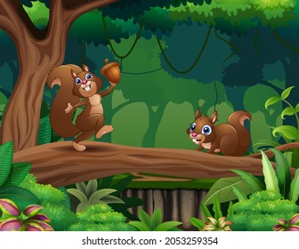 Cute squirrels cartoon on the tree