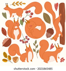 Cute squirrels and fall clipart elements, hand drawn vector illustration