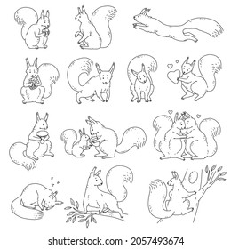 Cute squirrels with nuts and acorns. Set vector black white outline sketch cartoon isolated illustrations of animal characters.