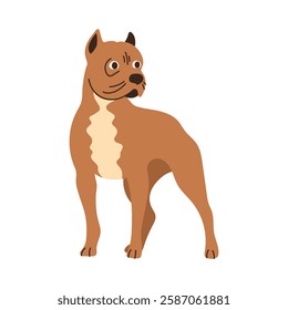 Cute Staffordshire Terrier dog standing. Pet animal, breed. Isolated flat vector illustration