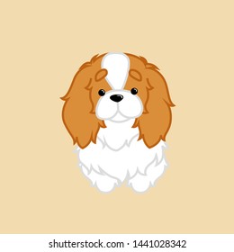 Cute Standing Fluffy Blenheim Cavalier King Charles Spaniel from Front View Dog Cartoon Vector Illustration for Print, Website and Kids Shirt Design