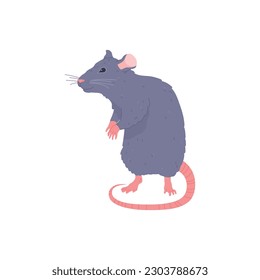 Cute standing gray rat flat style, vector illustration isolated on white background. Funny smiling rodent animal, decorative design element, pet character