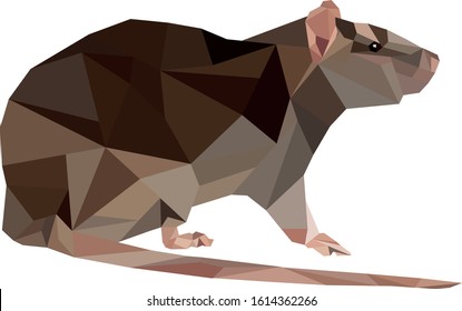 Cute standing polygonal rat with brown fur