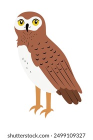 Cute standing pygmy owl, with brown feathers and yellow eyes. Hand drawn little bird vector illustration, isolated on white