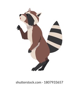 Cute Standing Raccoon, Adorable Wild Forest Animal Cartoon Character, Side View Vector Illustration
