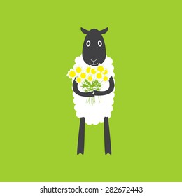 Cute standing sheep with dark grey head, grey legs and white body holding big bouquet of chamomiles in the hands isolated on bright green background