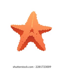 Cute Starfish Icon Isolated. Summer Vector illustration.