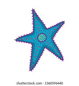 cute starfish isolated icon