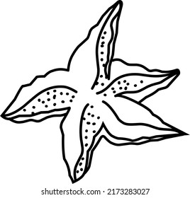 Cute Starfish on a white background 