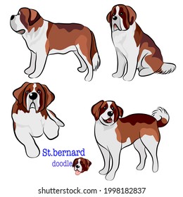 Cute St.Bernard dog doodle. Collection in different poses in free hand drawing vector illustration style.
