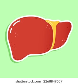 Cute sticker liver. Vector hand drawn cartoon kawaii character illustration icon. Isolated on green background. Sticker liver character concept