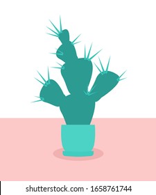 Cute still life cactus, home plant. Cartoon cactus succulent in pots. Vector isolated illustration.