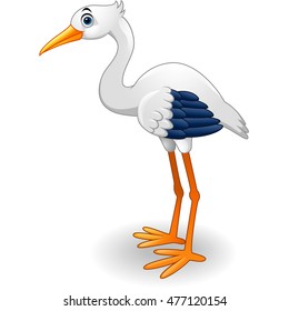Cute stork cartoon
