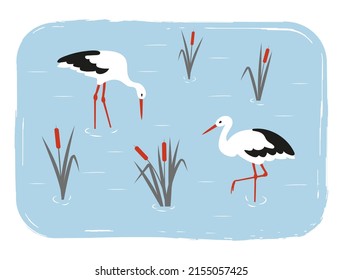 Cute Storks Birds In The Swamp. Simple Flat Vector Illustration Of Wetland.