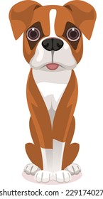 Cute Straight Standing Pure Breed Brown and White Boxer front view, check my other dog breeds.