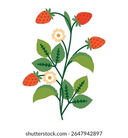 Cute Strawberry Bush with Flowers, Leaves and Berries. Colorful plant with cute line sketches of branches isolated on white background. Nature herb perfect for invitations, cards, posters, holidays