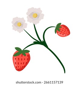 Cute strawberry icon element. Red strawberry with flowers on white background. Juicy summer berry. Vector illustration.