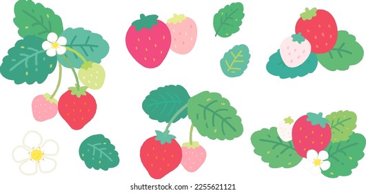 Cute strawberry and leaf. Vector hand drawn illustration.