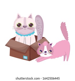 cute stretching cat and other in the box cartoon pets vector illustration