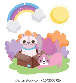 cute stretching cat and other in the box rainbow sun outside pets vector illustration