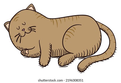 Cute and striped cat lying down and taking a nap, in hand drawn and cartoon style.