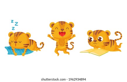 Cute Striped Tiger Sleeping on Pillow and Reading Book Vector Set