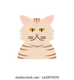 Cute striped white cat cartoon design, Animal pet kitten domestic feline kitty mammal beautiful and portrait theme Vector illustration