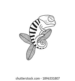 Cute stripy chameleon sleep on leaf isolated vector illustration. Jungle reptile animal black and white childish graphic drawing Perfect for one colour silk screen printing t-shirt design