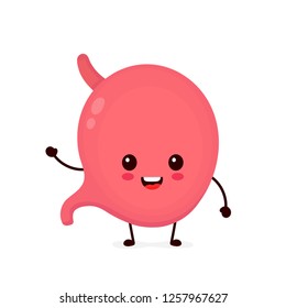Cute strong healthy happy stomach character. Vector flat cartoon illustration icon design. Isolated on white background. Digestive tract,healthy food nutrition,stomach concept 