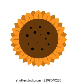 Cute stylish sunflower isolated on a white background.