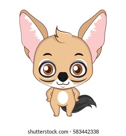 Cute stylized cartoon jackal illustration ( for fun educational purposes, illustrations etc. )