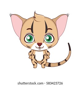 Cute stylized cartoon jungle cat illustration ( for fun educational purposes, illustrations etc. )