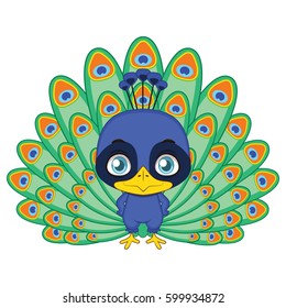 Cute stylized cartoon peacock illustration ( for fun educational purposes, illustrations etc. )