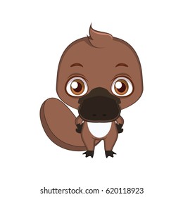 Cute stylized cartoon platypus illustration ( for fun educational purposes, illustrations etc. )