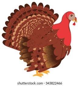Cute stylized cartoon turkey bird, Thanksgiving turkey.