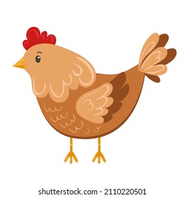 Cute stylized chicken in flat style isolated on white background. Vector drawing of a farm chicken. Chicken, farm, livestock in minimalist style